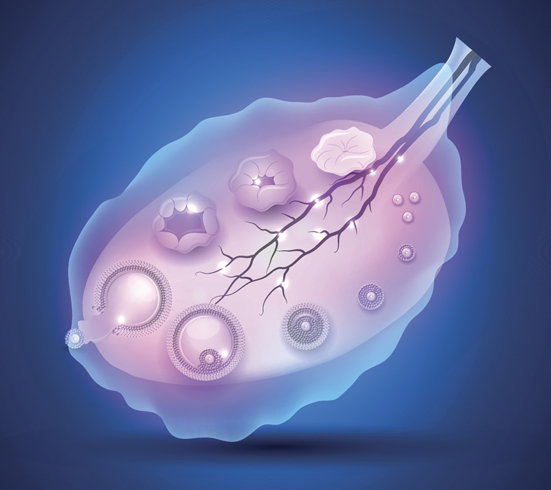 〖第七代试管婴儿助孕技术对比-基因筛查PGD与第三代试管的差异!〗